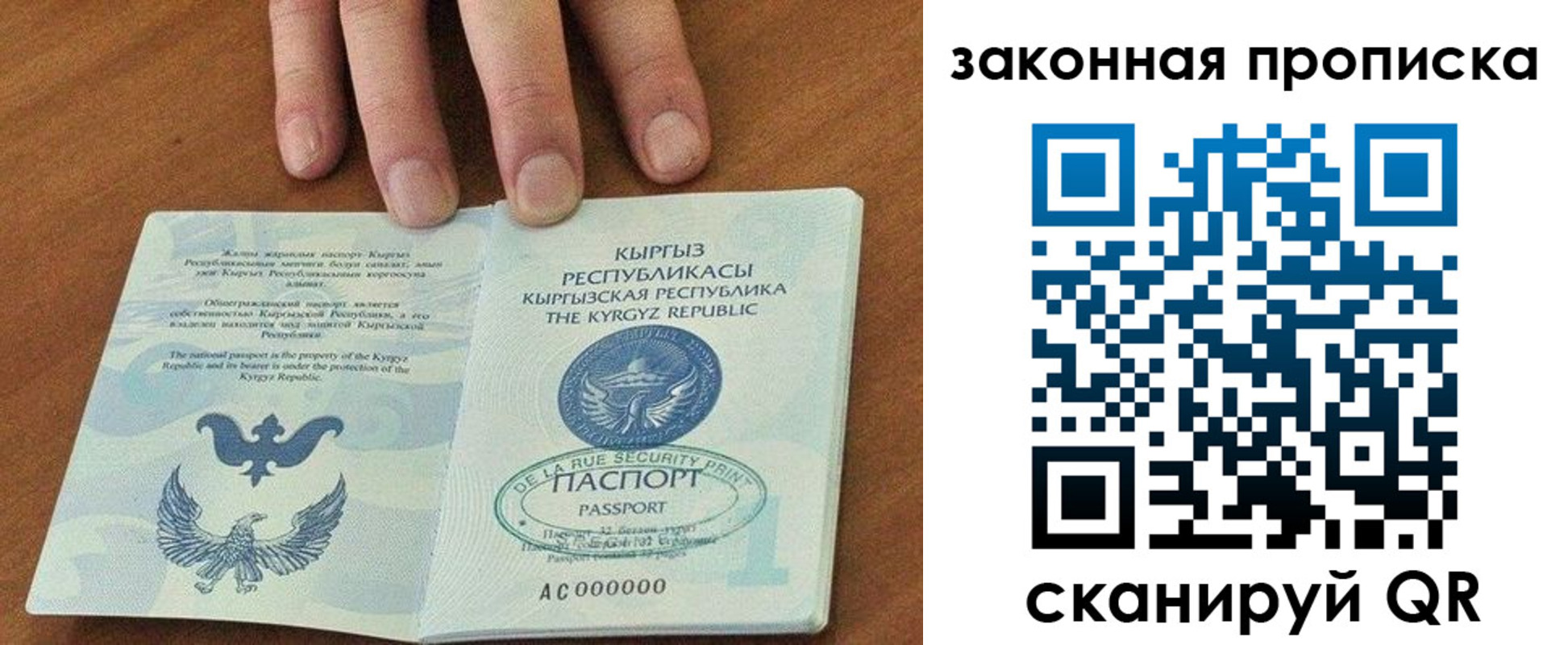 где прописаться в Ярославле